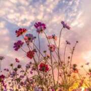 ヒメ日記 2025/10/21 22:05 投稿 ☆菜々子【ナナコ】☆ ピンクコレクション大阪