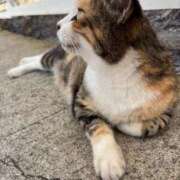 ヒメ日記 2025/10/24 21:33 投稿 ☆菜々子【ナナコ】☆ ピンクコレクション大阪