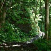 ヒメ日記 2025/11/28 14:20 投稿 ☆菜々子【ナナコ】☆ ピンクコレクション大阪