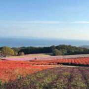 ヒメ日記 2025/12/22 14:02 投稿 ☆菜々子【ナナコ】☆ ピンクコレクション大阪