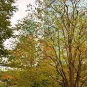 ヒメ日記 2026/02/03 14:21 投稿 ☆菜々子【ナナコ】☆ ピンクコレクション大阪