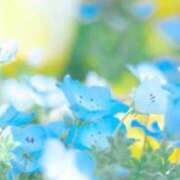 ヒメ日記 2026/02/23 15:30 投稿 ☆菜々子【ナナコ】☆ ピンクコレクション大阪