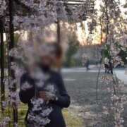 ☆菜々子【ナナコ】☆ ミテネギフト🎁 ピンクコレクション大阪