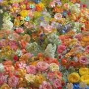 ヒメ日記 2026/05/21 17:02 投稿 ☆菜々子【ナナコ】☆ ピンクコレクション大阪