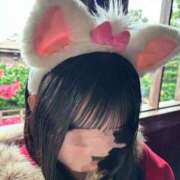 せいら しゅっきん！！ カルテ