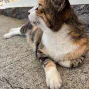 ヒメ日記 2025/10/24 21:29 投稿 ☆菜々子【ナナコ】☆ ピンクコレクション大阪キタ店