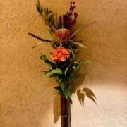 ヒメ日記 2025/11/28 14:59 投稿 ☆菜々子【ナナコ】☆ ピンクコレクション大阪キタ店