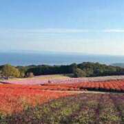 ヒメ日記 2025/12/22 14:20 投稿 ☆菜々子【ナナコ】☆ ピンクコレクション大阪キタ店