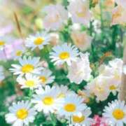 ヒメ日記 2026/03/27 17:49 投稿 ☆菜々子【ナナコ】☆ ピンクコレクション大阪キタ店