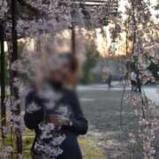 ヒメ日記 2026/04/14 11:09 投稿 ☆菜々子【ナナコ】☆ ピンクコレクション大阪キタ店