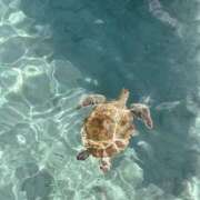 ヒメ日記 2026/04/19 11:49 投稿 ☆菜々子【ナナコ】☆ ピンクコレクション大阪キタ店