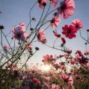 ヒメ日記 2025/09/25 17:16 投稿 ☆菜々子【ナナコ】☆ ピンクコレクション尼崎店