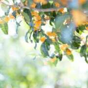 ヒメ日記 2025/10/12 22:02 投稿 ☆菜々子【ナナコ】☆ ピンクコレクション尼崎店