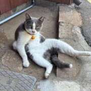 ヒメ日記 2025/10/19 07:02 投稿 ☆菜々子【ナナコ】☆ ピンクコレクション尼崎店