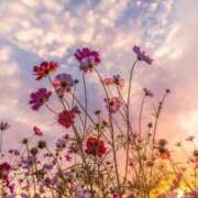 ヒメ日記 2025/10/21 22:01 投稿 ☆菜々子【ナナコ】☆ ピンクコレクション尼崎店