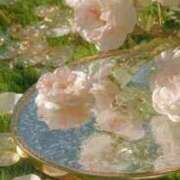 ヒメ日記 2025/12/17 15:32 投稿 ☆菜々子【ナナコ】☆ ピンクコレクション尼崎店