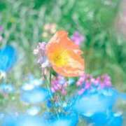 ヒメ日記 2026/02/17 20:12 投稿 ☆菜々子【ナナコ】☆ ピンクコレクション尼崎店