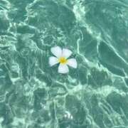 ヒメ日記 2026/04/19 14:42 投稿 ☆菜々子【ナナコ】☆ ピンクコレクション尼崎店