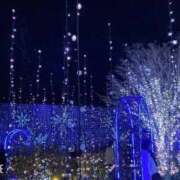 ヒメ日記 2025/12/24 17:45 投稿 みちる One More 奥様 小岩店