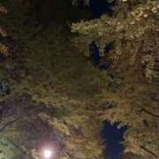 ヒメ日記 2026/02/28 20:29 投稿 みちる One More 奥様 小岩店