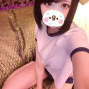 ヒメ日記 2025/09/20 01:13 投稿 コアラ きらめけ！にゃんにゃん学園in大宮