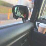 ヒメ日記 2026/01/15 19:02 投稿 つきな Seirenes (セイレネス)