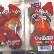 つきな 今日います🦖⸒⸒ Seirenes (セイレネス)