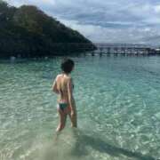 つきな 🏝️🐠 Seirenes (セイレネス)