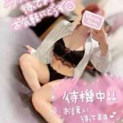 ヒメ日記 2025/09/29 11:58 投稿 花宮　めい OLセレクション宇都宮店