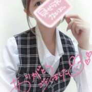 ヒメ日記 2025/11/26 12:25 投稿 花宮　めい OLセレクション宇都宮店