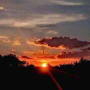 ヒメ日記 2026/01/05 10:07 投稿 花宮　めい OLセレクション宇都宮店