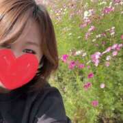 ヒメ日記 2025/09/17 09:08 投稿 白峰琴弓 五十路マダム姫路店