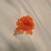 ヒメ日記 2026/01/09 20:06 投稿 みさ☆イラマ依存の潮吹き天使☆ PREMIUM～プレミアム～