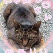 ヒメ日記 2025/09/17 15:04 投稿 せいな 完熟ばなな梅田