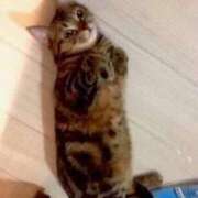 ヒメ日記 2025/09/18 11:44 投稿 せいな 完熟ばなな梅田