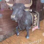 ヒメ日記 2025/11/05 14:24 投稿 せいな 完熟ばなな梅田