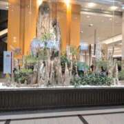 ヒメ日記 2026/01/02 09:57 投稿 せいな 完熟ばなな梅田