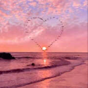 ヒメ日記 2025/10/02 07:58 投稿 さき PLATINA