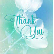 ヒメ日記 2025/11/26 15:32 投稿 さき PLATINA