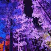 ヒメ日記 2026/03/15 22:44 投稿 さき PLATINA