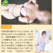 ヒメ日記 2026/03/20 08:33 投稿 さき PLATINA