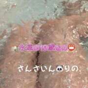 ヒメ日記 2026/01/14 08:55 投稿 りの 宮崎SANSAIN