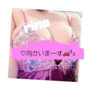 ヒメ日記 2026/01/23 14:35 投稿 りの 宮崎SANSAIN