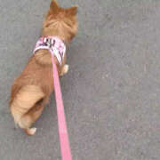 ヒメ日記 2025/09/19 16:35 投稿 まみ 玉乱☆痴（たまらんち）