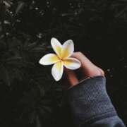 真澄 いつもありがとうございます MCロイヤル