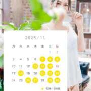 ヒメ日記 2025/11/07 10:22 投稿 松嶋 パンドラ（吉原）