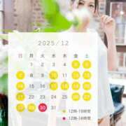 ヒメ日記 2025/12/07 07:01 投稿 松嶋 パンドラ（吉原）