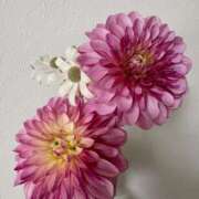 ヒメ日記 2026/04/14 16:41 投稿 松嶋 パンドラ（吉原）