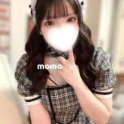 宮園もも 永遠メイド主義 メイドin中野（東京ハレ系）