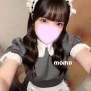 ヒメ日記 2026/02/21 01:05 投稿 宮園もも メイドin中野（東京ハレ系）